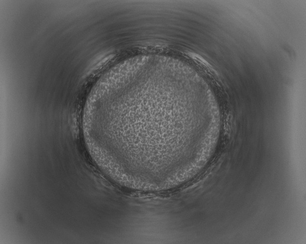 X0000116440774200912291927