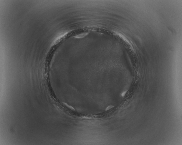 X0000116440775200912291927