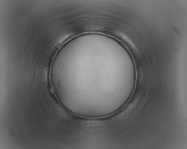 X0000116440777200912291927