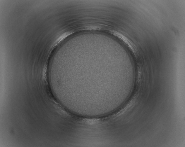 X0000116440778200912291927