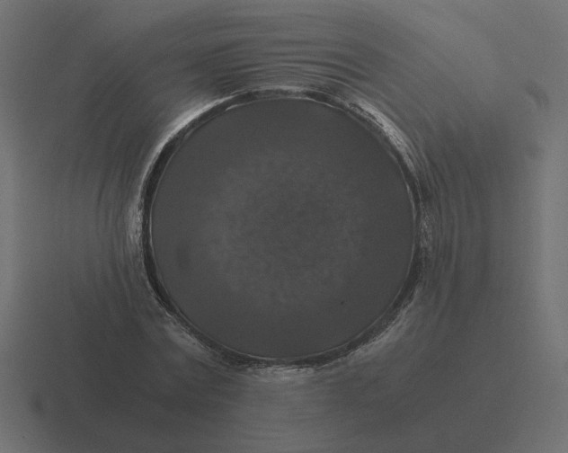 X0000116440779200912291927