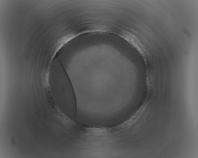 X0000116440781200912291927