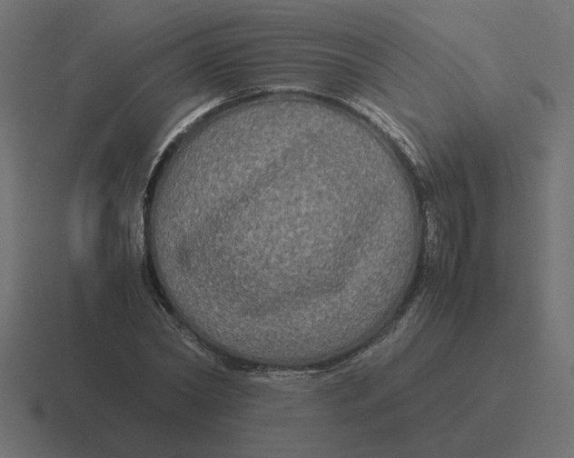 X0000116440782200912291927