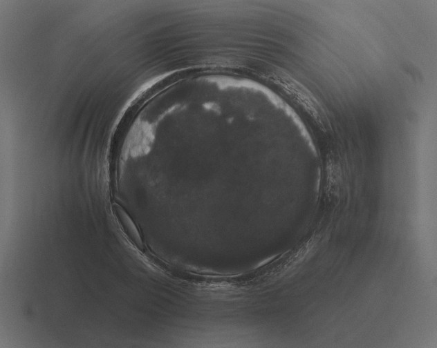 X0000116440784200912291927