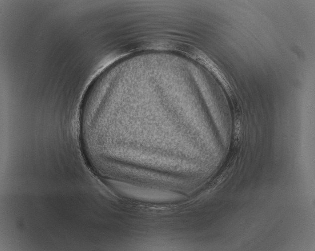 X0000116440787200912291927
