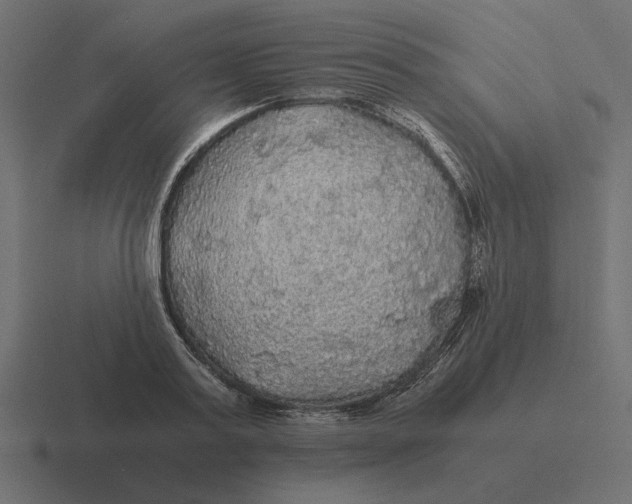 X0000116440795200912291927
