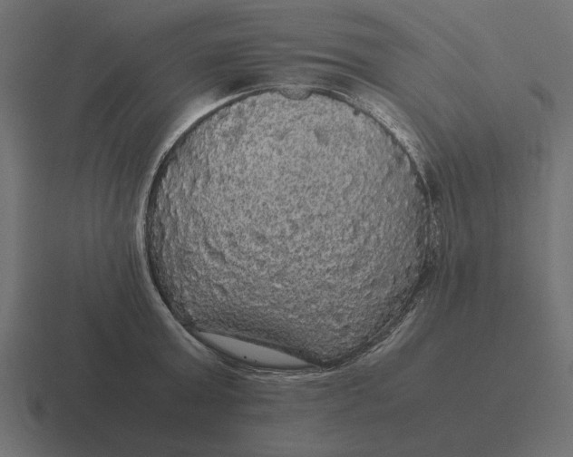 X0000116440803200912291927