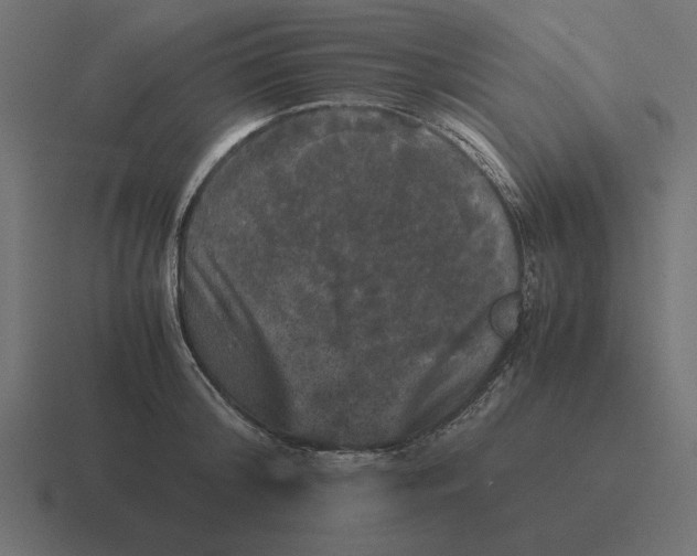 X0000116440804200912291927