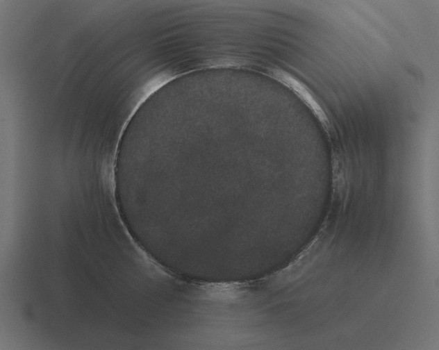 X0000116440810200912291927