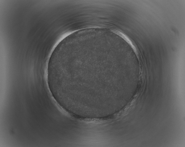 X0000116440811200912291927