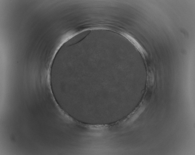 X0000116440813200912291927
