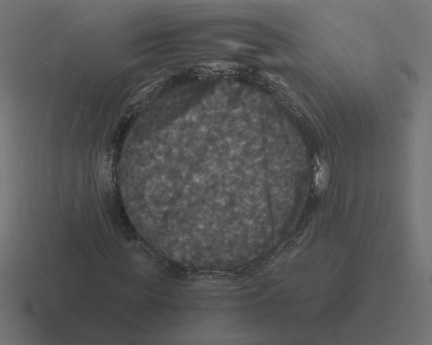 X0000116440819200912291926