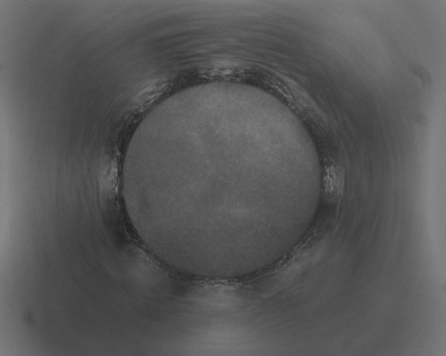 X0000116440820200912291926