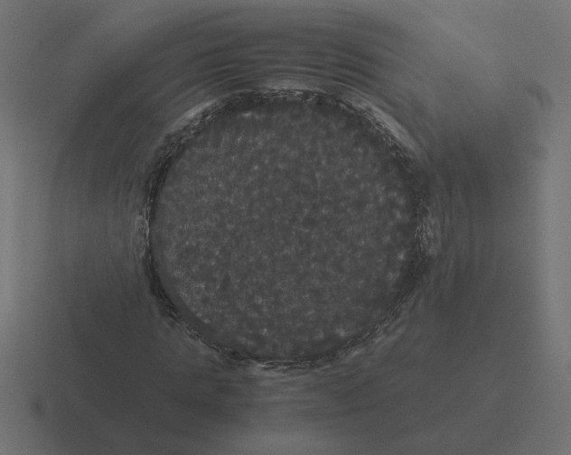 X0000116440821200912291926