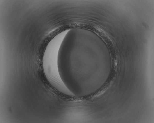 X0000116440822200912291926