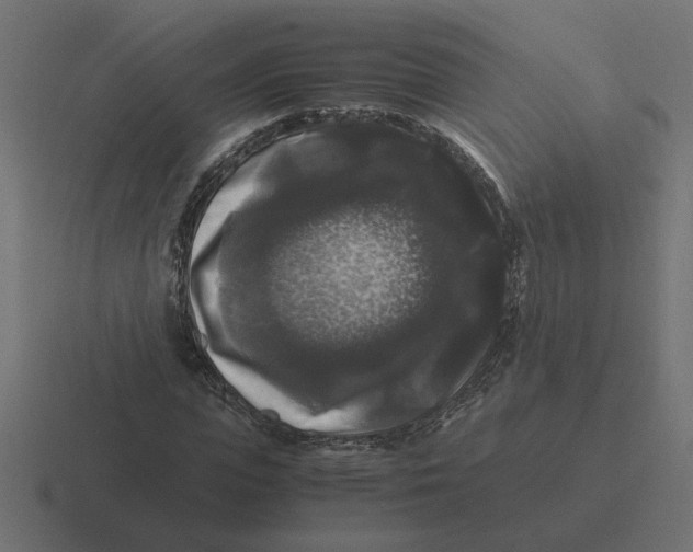 X0000116440823200912291926