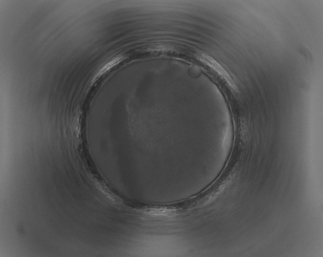 X0000116440826200912291926