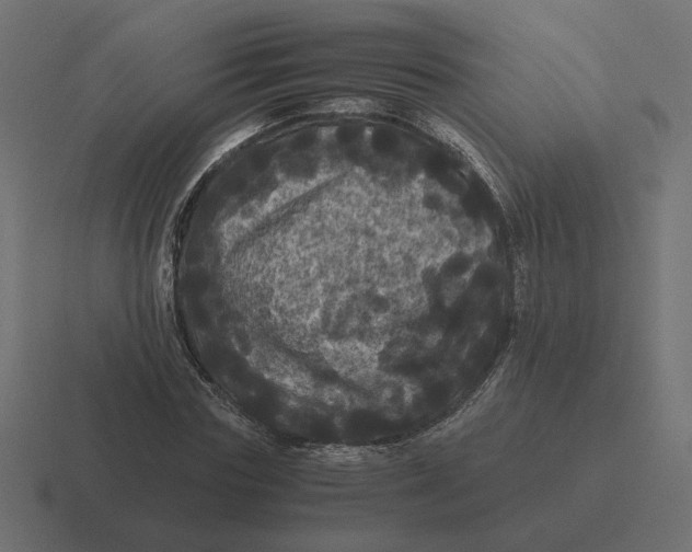 X0000116440827200912291926
