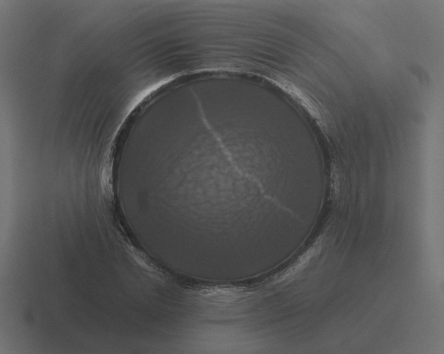 X0000116440830200912291926