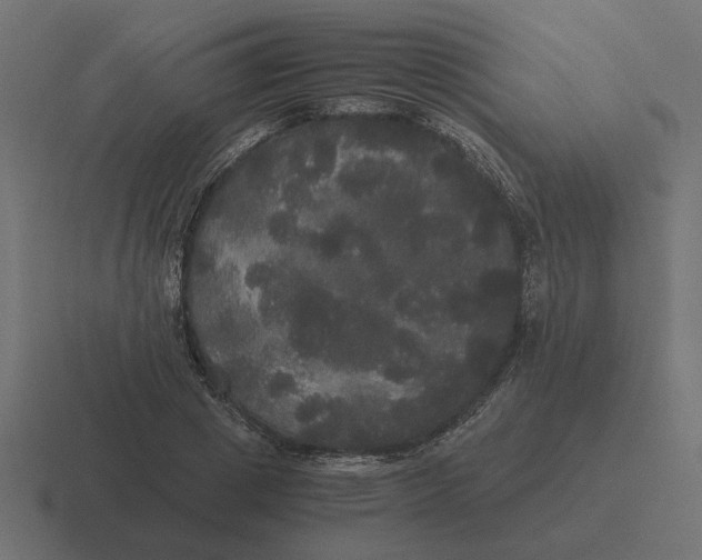 X0000116440833200912291926