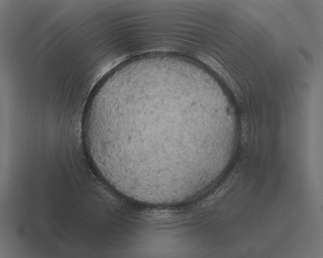 X0000116440834200912291926