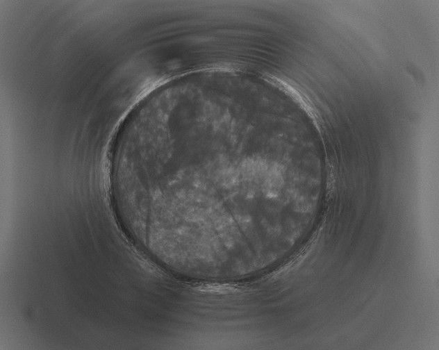 X0000116440835200912291926