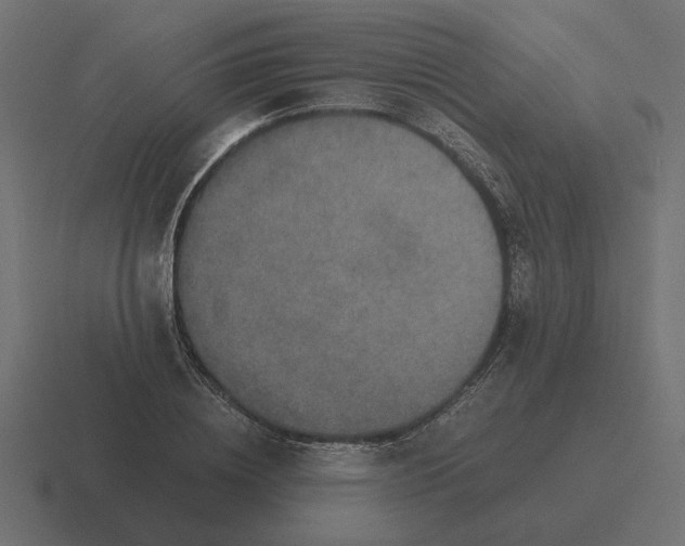 X0000116440836200912291926