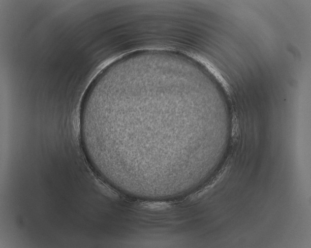 X0000116440837200912291926