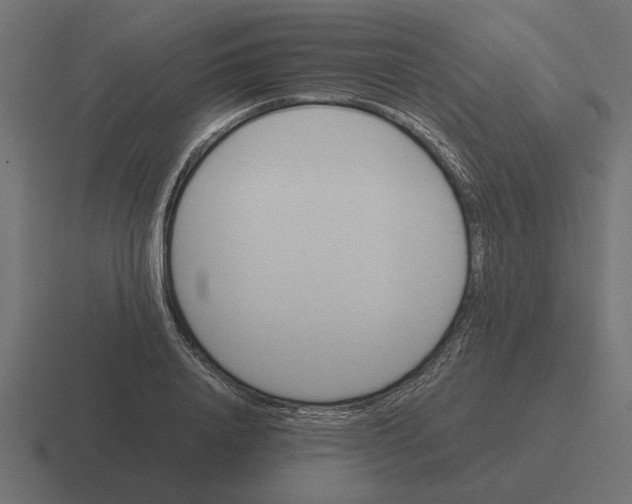 X0000116440840200912291926