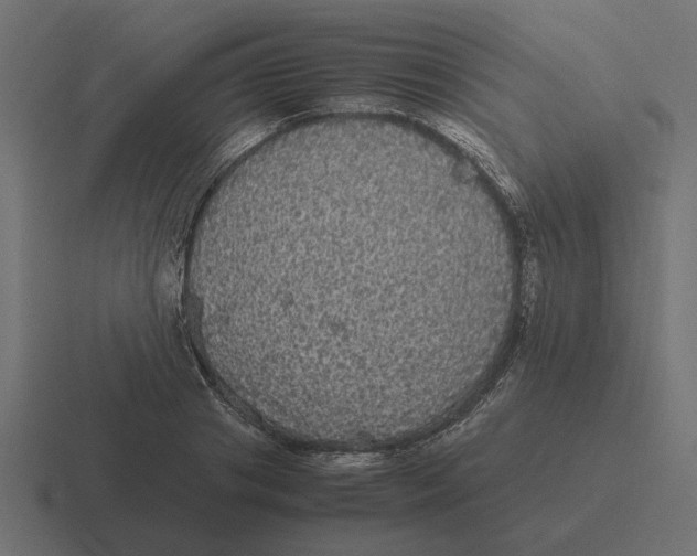X0000116440841200912291926