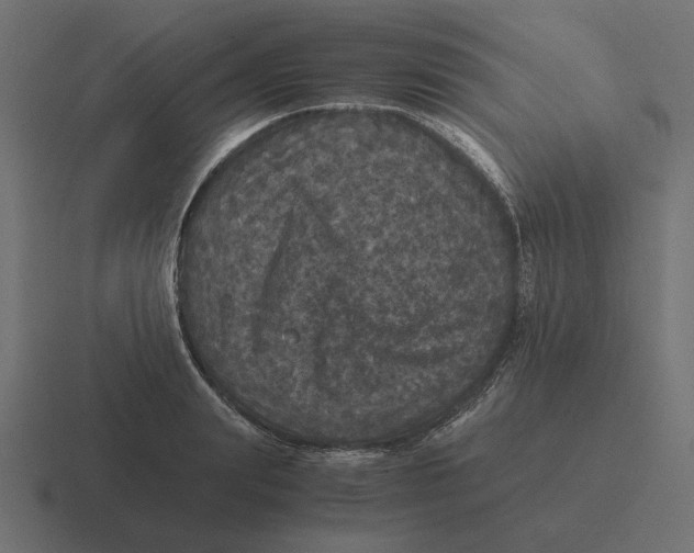 X0000116440847200912291926