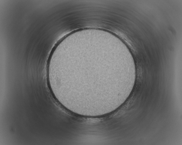 X0000116440848200912291926