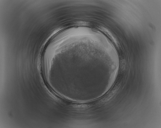 X0000116440851200912291926