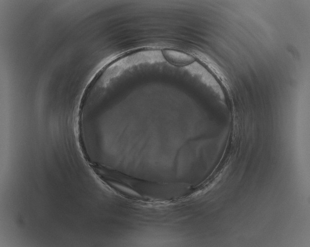 X0000116440853200912291926