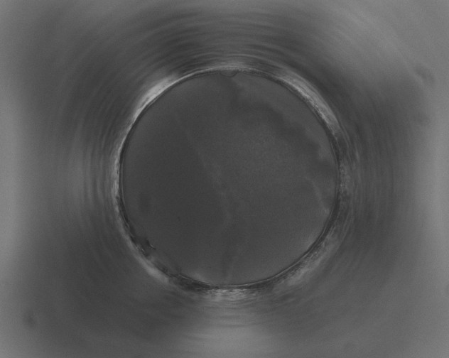 X0000116440858200912291926