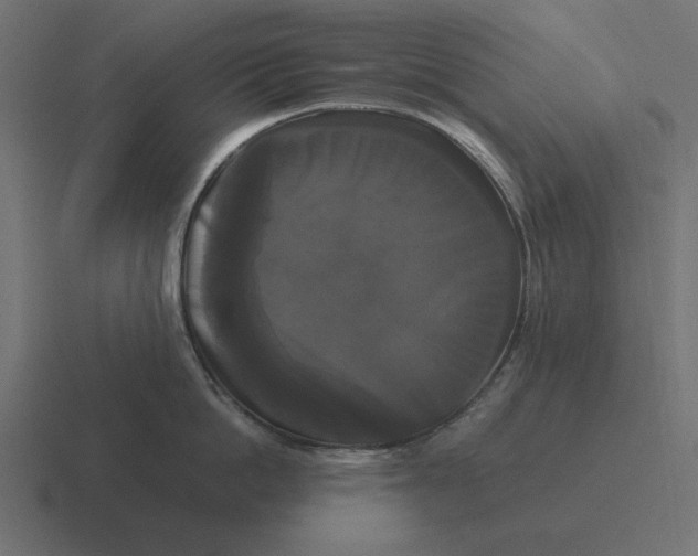 X0000116440862200912291927
