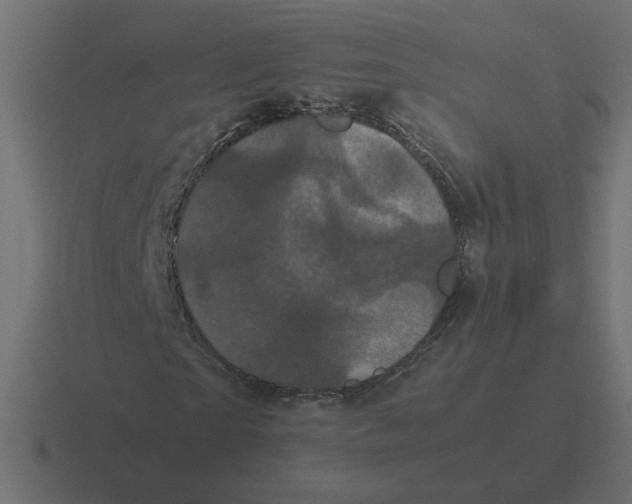 X0000116440865200912291926