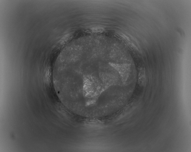 X0000116440866200912291926