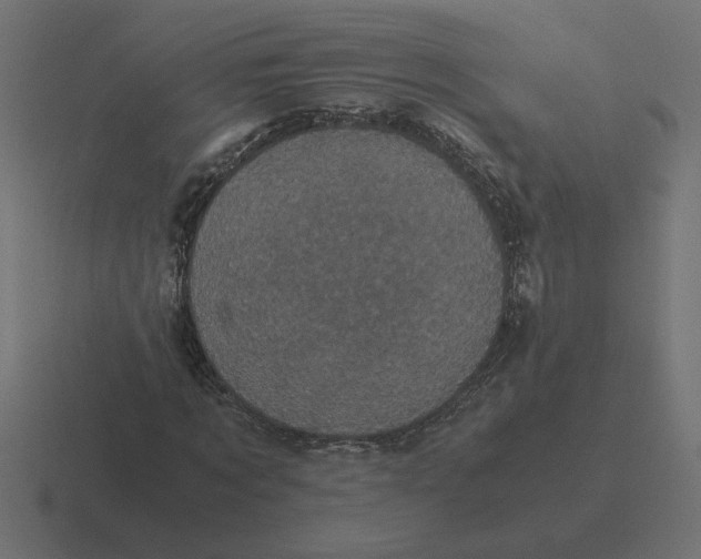 X0000116440869200912291926
