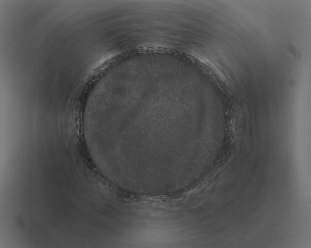X0000116440870200912291926