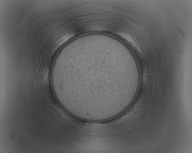 X0000116440873200912291926