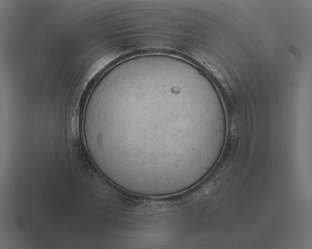 X0000116440877200912291926