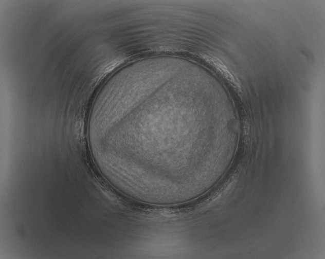 X0000116440881200912291926
