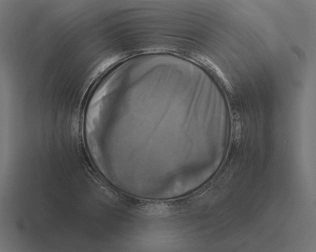 X0000116440882200912291926