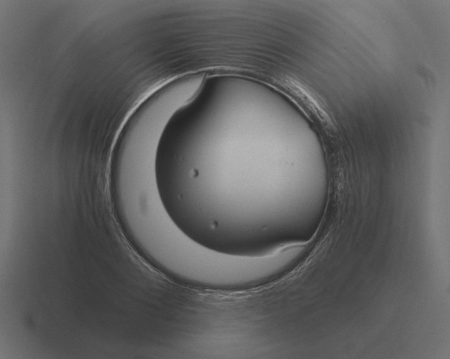X0000116440884200912291926