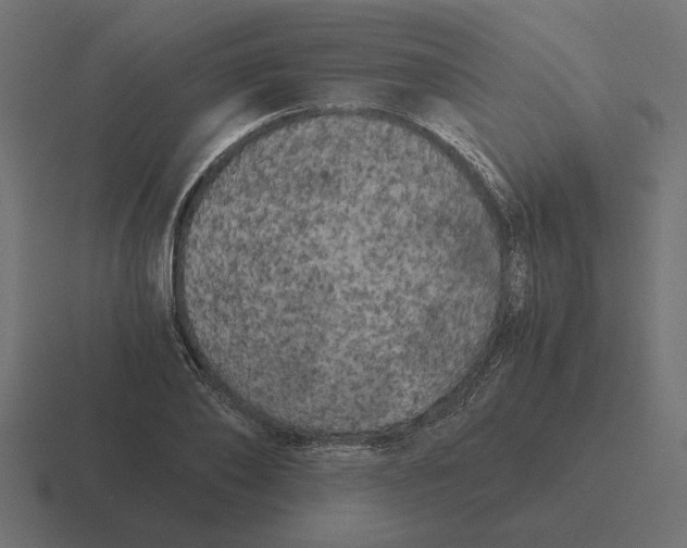 X0000116440886200912291926