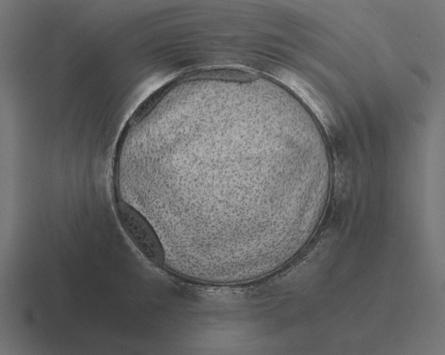 X0000116440901200912291925