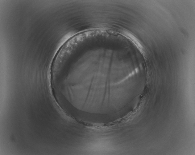 X0000116440907200912291925