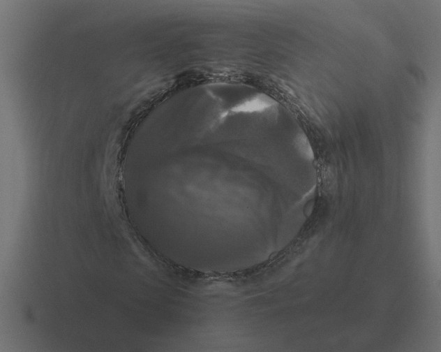X0000116440913200912291925