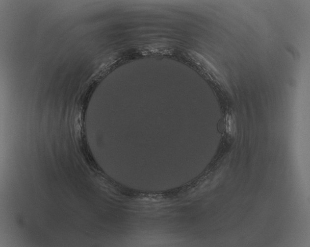 X0000116440915200912291925